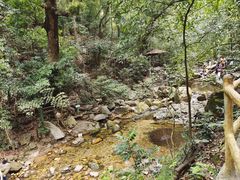 -鼎湖山风景区