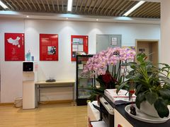 -九拍音乐·原声爵士鼓·架子鼓(莘庄中心)