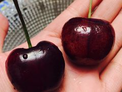 -南京众彩农副产品配送有限公司