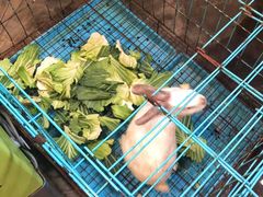 -灶东家民间菜(回兴店)