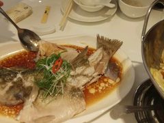 -至潮餐厅精致粤菜·活鲈鱼·走地鸡(珠江新城店)