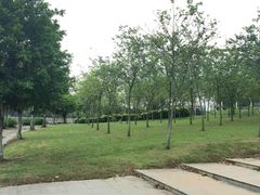 -华南师范大学(广州大学城校区)