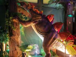 -恐龙探索乐园(磁器口店)