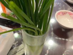 -大中鱼翅 Taitong Shark Fin