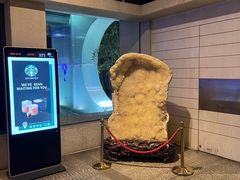 -春晖园度假酒店温泉