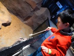 -酷嗒动物文化乐园(cutezoo西溪乐天城店)