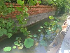-小仙居·农家宴烤羊· 农庄
