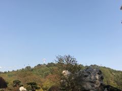 -东湖磨山景区