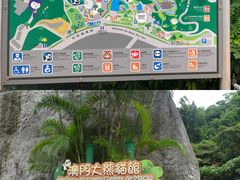 -石排湾郊野公园