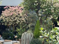 -自由生长植物工作室(深港花卉中心店)