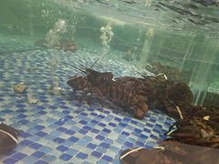 -海鲜码头·中国菜