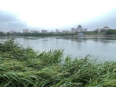 -莲花池公园