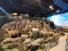 -陕西自然博物馆