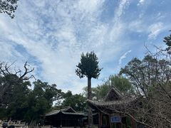 -晋祠公园