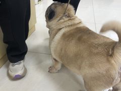 -美联众合动物医院·24h京西诊疗中心