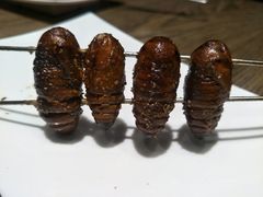 烤茧蛹-潮庭·大连海鲜·炭火烧烤·扇贝王(大连店)