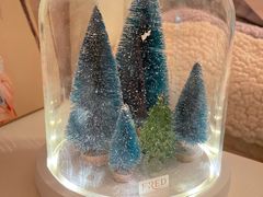 -FRED斐登(上海恒隆精品店)