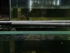 -双天海鲜楼 · 43年老字号