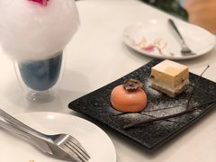 柿柿如薏-随心小姐