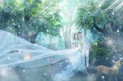 -金夫人婚纱摄影(华南店)