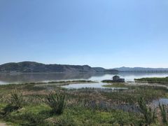 -漩门湾国家湿地公园