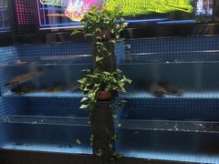 -涿派·炝锅鱼(涿州店)