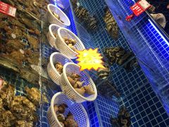 -必点海鲜·鲅鱼水饺(鞍山西道店)
