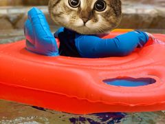 -杭州开元森泊度假乐园