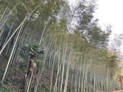 -黄公望隐居地