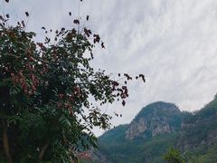 -苍岩山风景名胜区