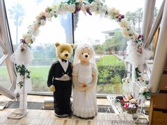 -济州岛泰迪熊博物馆