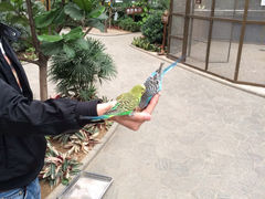 iphone_upload_pic-世界地热博览园