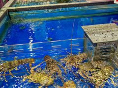 -盒马鲜生(首义店)