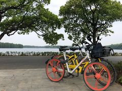 -东湖落雁景区