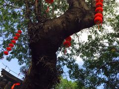 -牟氏庄园