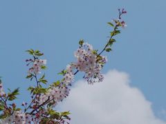 -蓝天路(地铁站)