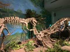 -自贡恐龙博物馆