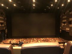 -武商摩尔影城(国广IMAX激光店)