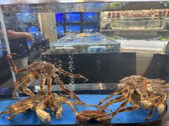 -悦来轩顺德菜(寮厦店)