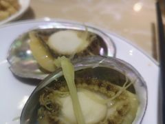 鲍鱼-海大大蒸汽海鲜餐厅·粤菜·特色小炒(欢乐颂店)