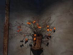 -曲廊院(东四十一条店)