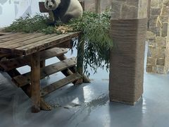 -无锡动物园·太湖欢乐园