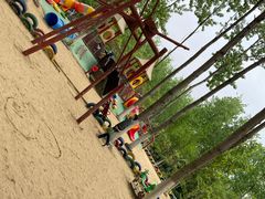 -合肥滨湖国家森林公园