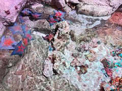 -沈阳海洋探索中心