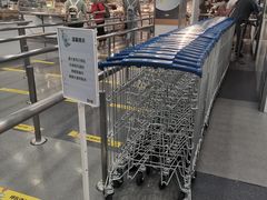 -宜家·瑞典风味餐厅(北京西红门店)