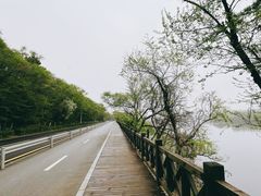 -沈阳鸟岛