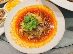 -新渝城·川菜·火锅(区庄店)