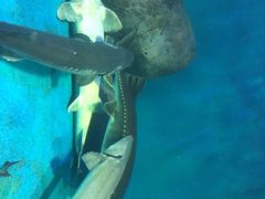 -多彩贵州城极地海洋世界