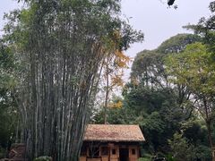 -望江楼公园