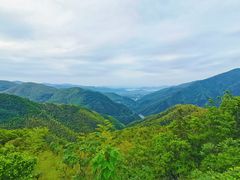 -四明山国家森林公园